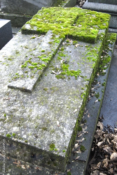 Fototapeta tombe - 2