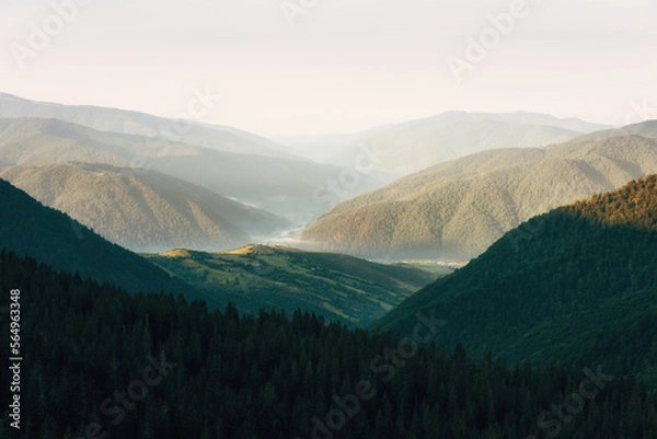 Fototapeta Wonderful  landscape in the mountains at sunrise. View of a scenic  forest hills. Golden Hour morning light. Effect warm natural light.
