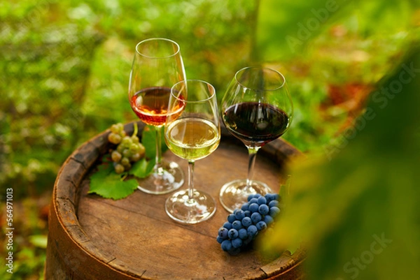 Obraz Wooden barrel with wine glasses in the vineyard