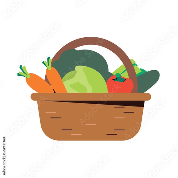 Fototapeta vegetable in basket. fresh carrot cabbage broccoli isolated flat vector illustration