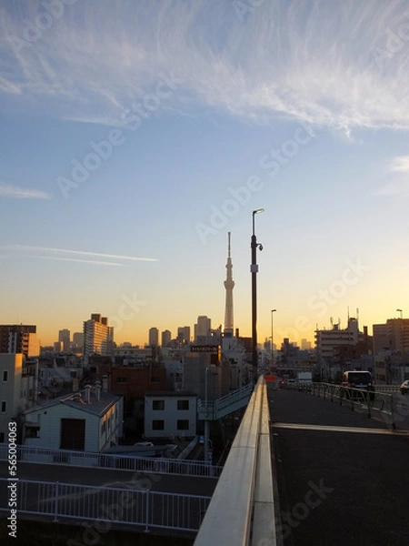 Obraz 遠くにみえる街並み　都会