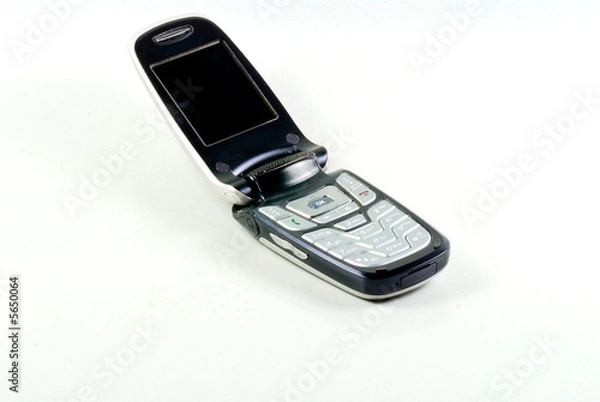 Obraz cell phone