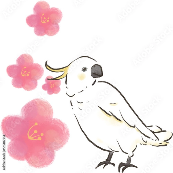 Obraz キバタンと梅