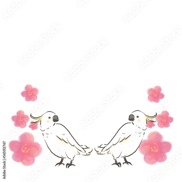 Fototapeta 向かい合うキバタンと梅の花1