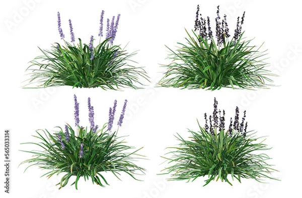 Fototapeta 3D render many plants and flowers on a transparent background