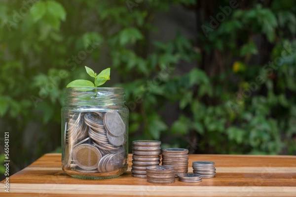 Fototapeta coin growing up with little sprout on top of the jar , concept of money saving, banking and investment, with wooden table and green natural background