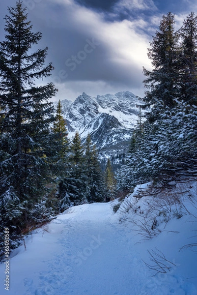 Obraz Zimowy krajobraz zaśnieżonych Tatr