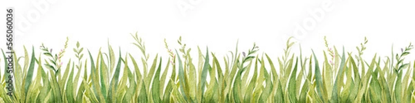 Fototapeta Watercolor seamless border with green grass isolated on white background. Greenery flower for wedding invitation, digital projects, Easter, Mother day card decoration, textiles, stationery design.