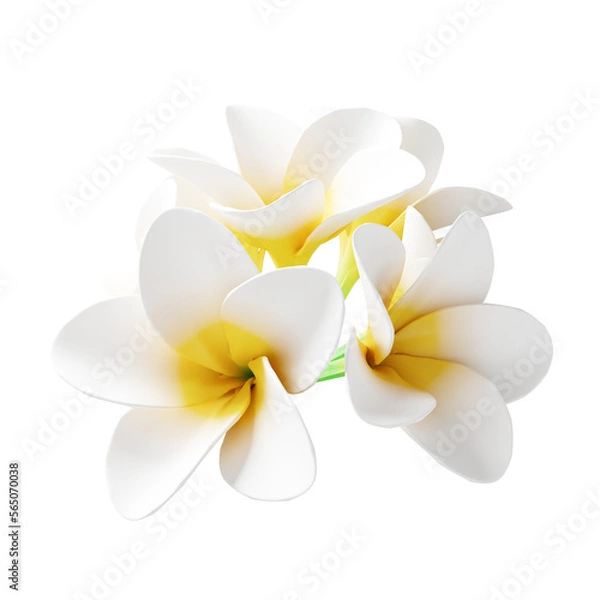 Obraz 3D Champa Flower