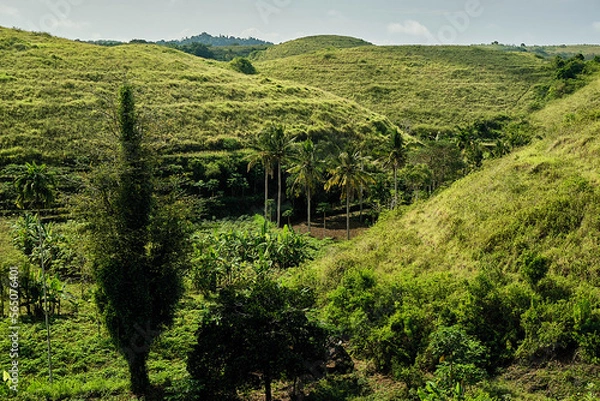 Fototapeta Teletubbies Hills