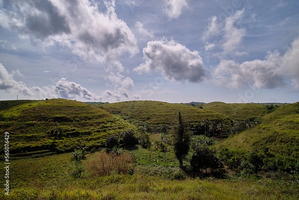 Fototapeta Teletubbies Hills