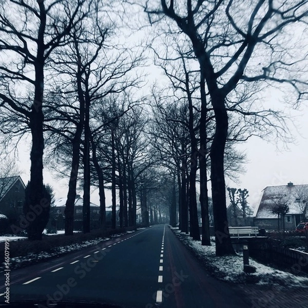 Fototapeta snow covered road