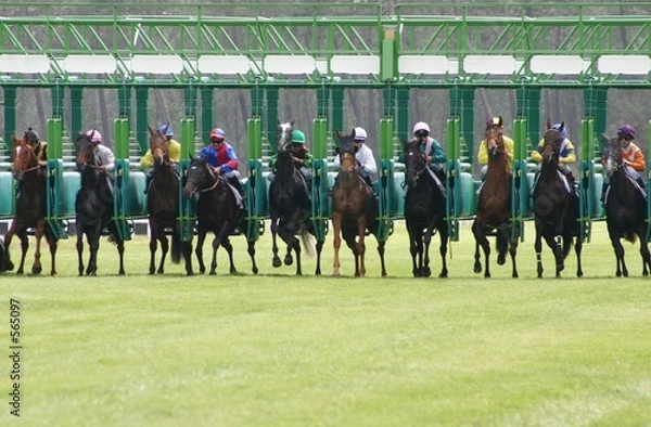 Obraz départ de la course