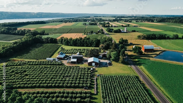 Obraz Fields Near Keuka Lake