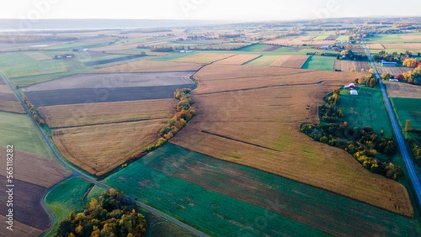 Obraz Fall in The Finger Lakes