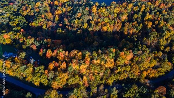 Obraz Fall in The Finger Lakes