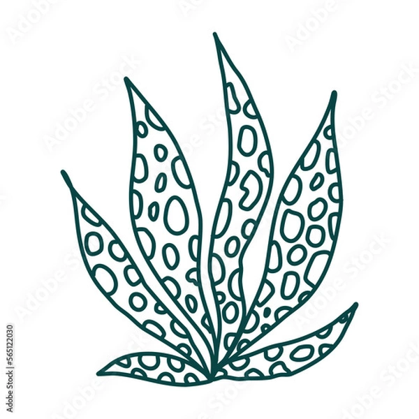Obraz Hand drawn floral composition. Doodle leaves. Vector art. Botanical element for decoration.