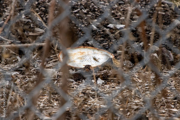 Fototapeta Garbage left on the ground