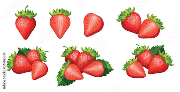 Fototapeta Set of fresh red strawberries in cartoon style. Vector illustration of tasty fruits whole and cut, large and small sizes with green leaves isolated on white background.