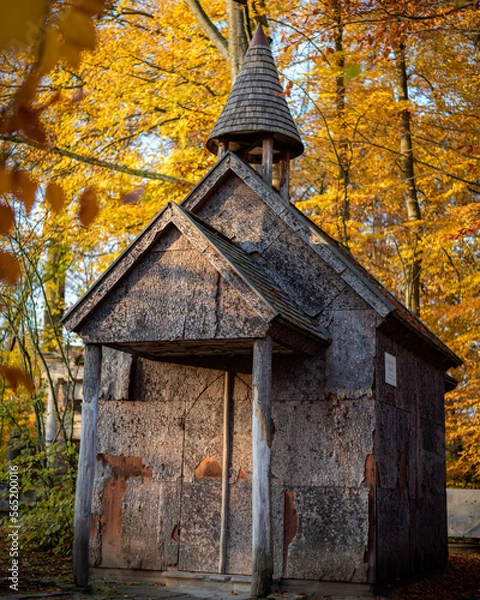 Fototapeta Rustic Charm: An Old Wooden Shed in the Fall