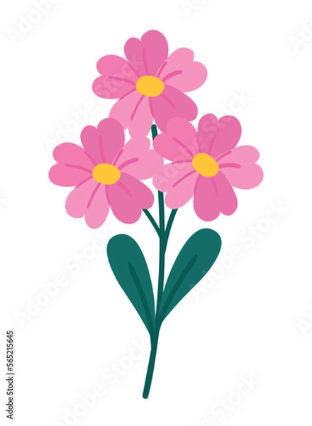 Obraz flowers and stem spring