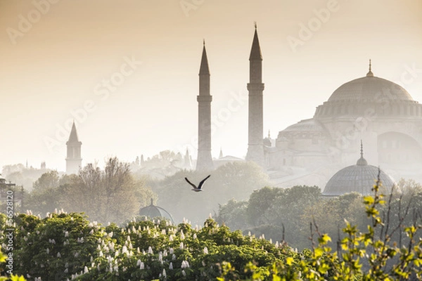 Fototapeta Meczet Sultanahmet / Błękitny Meczet, Stambuł, Turcja