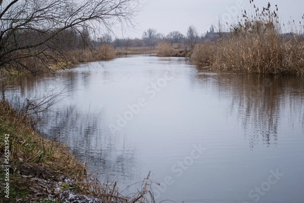 Obraz the river in the forest