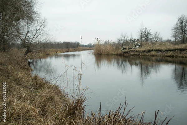 Obraz lake in the forest