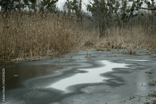 Obraz the river in the winter