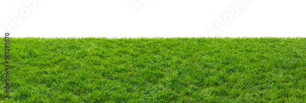 Obraz green grass field isolated on transparent background, png