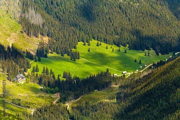 Obraz Widok na Dolinę Chochołowską 1.