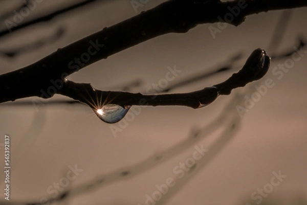 Obraz Wassertropfen mit Inhalt