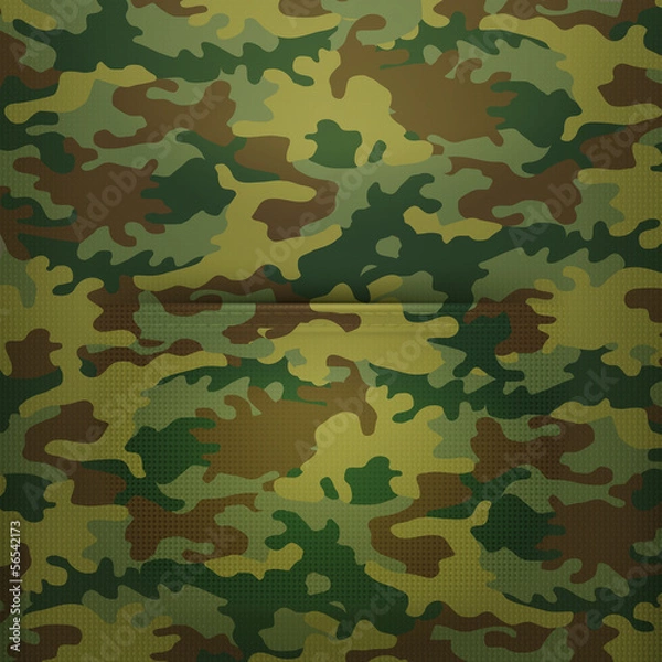 Obraz Pocket camouflage