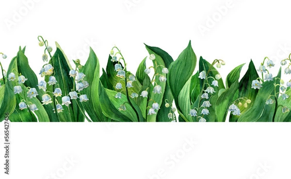 Fototapeta Watercolor horizontal border of lily of the valley, white flowers & green leaves isolated. Botany Illustration of first spring flower in natural style. Design for invitation cards. Template for text.