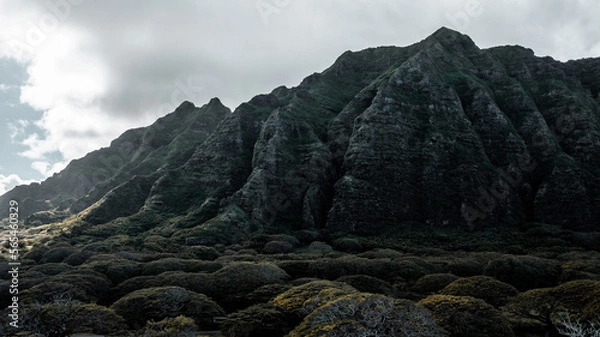 Fototapeta Kualoa Ranch