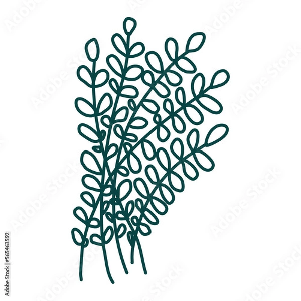 Obraz Hand drawn floral composition. Doodle stems. Vector art. Botanical element for decoration.