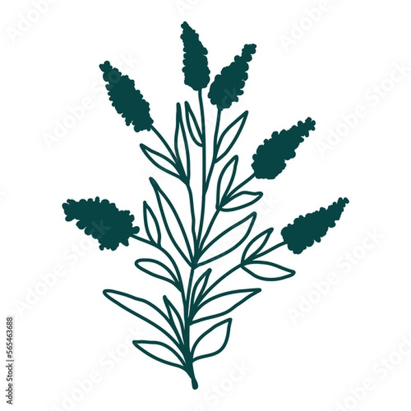Obraz Hand drawn floral composition. Doodle flowers. Vector art. Botanical element for decoration.