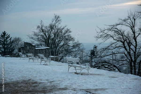 Obraz winter landscape with snow