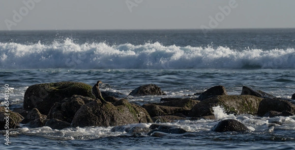 Obraz CAYUCO, DAKAR, SENEGAL
