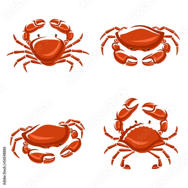 Obraz Zestaw kraba. Wektor