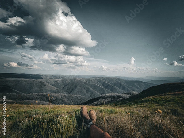 Obraz Victorian high country