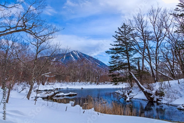 Obraz 雪の奥日光