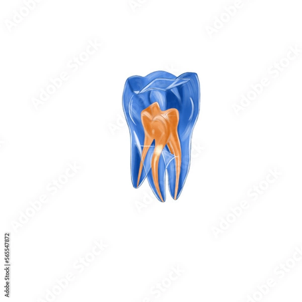 Obraz blue and white tooth