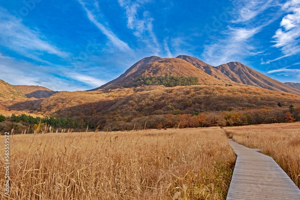 Obraz 秋の九重山・タデ原湿原