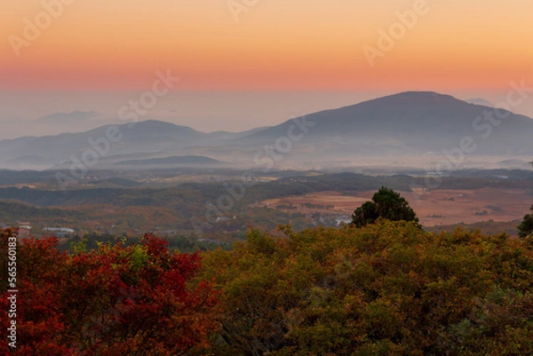 Obraz 秋の九重山・朝のタデ原湿原