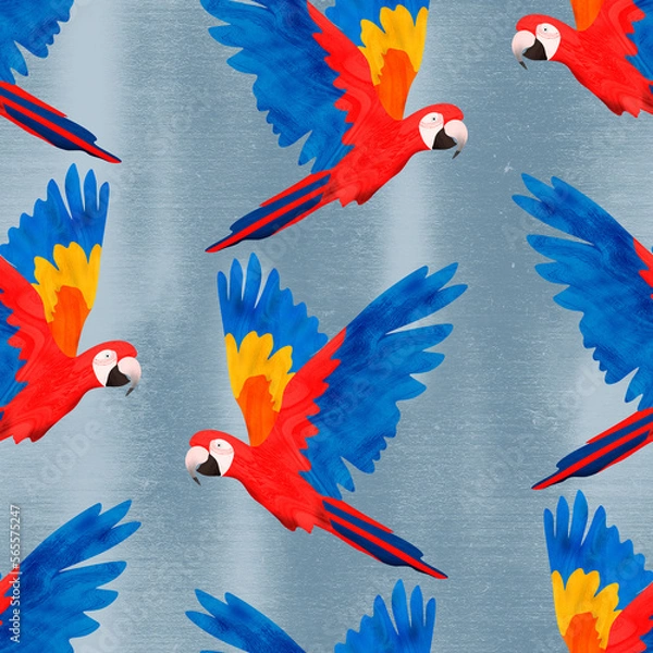 Obraz Scarlet macaws with blue background