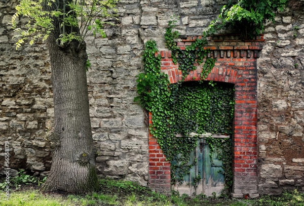 Fototapeta Das Versteck