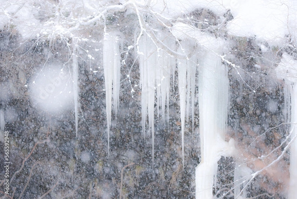 Obraz 豪雪の藤原凍る湧き水氷柱