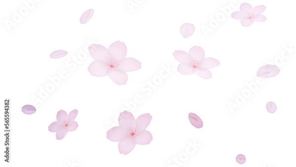 Obraz 桜の花びら