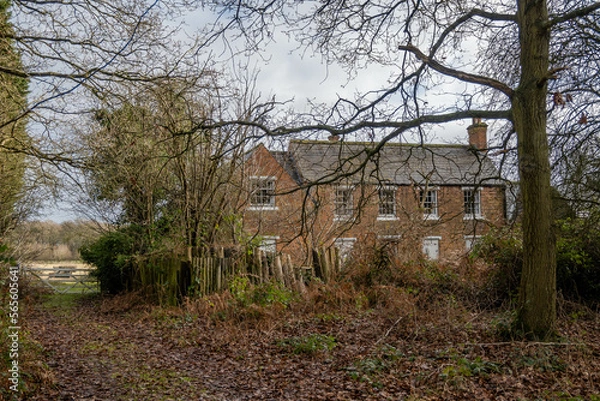Fototapeta Hidden house